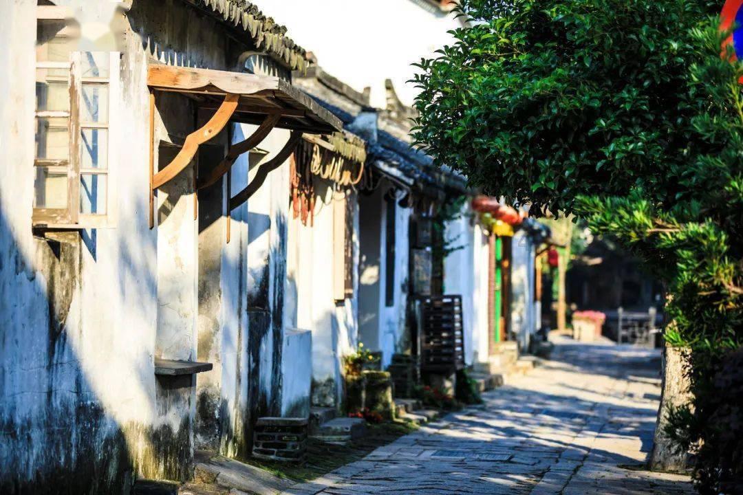探索世界的山人说命「实例讲解究竟怎么看八字」蜗牛
